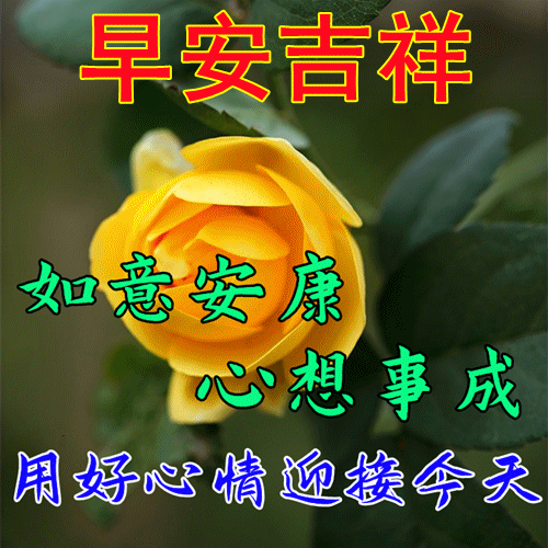每日晨语正能量早安心语,早上好祝福语图片,周五温馨问候祝福语