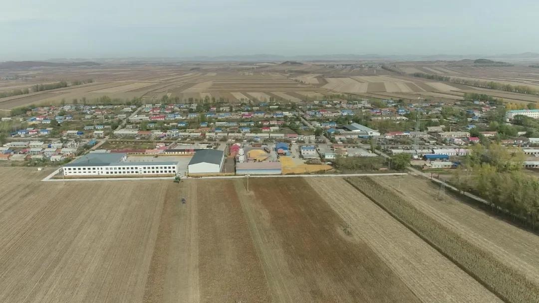 「桦南融媒」桦南县:现代乡村展风采|土龙山镇战生村 750亩有机高粱喜