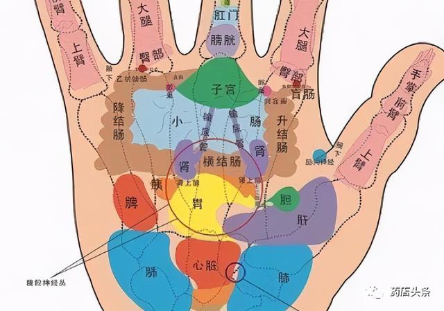 秒看手診口訣,輕鬆辨析17種常見病