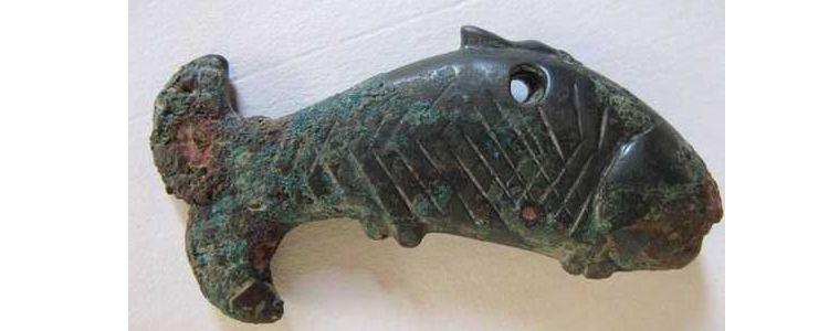 蛇眉铜鱼历史上真有吗