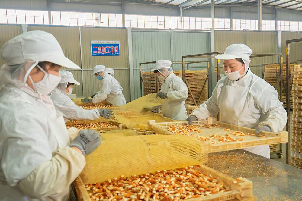 宠物零食生产车间