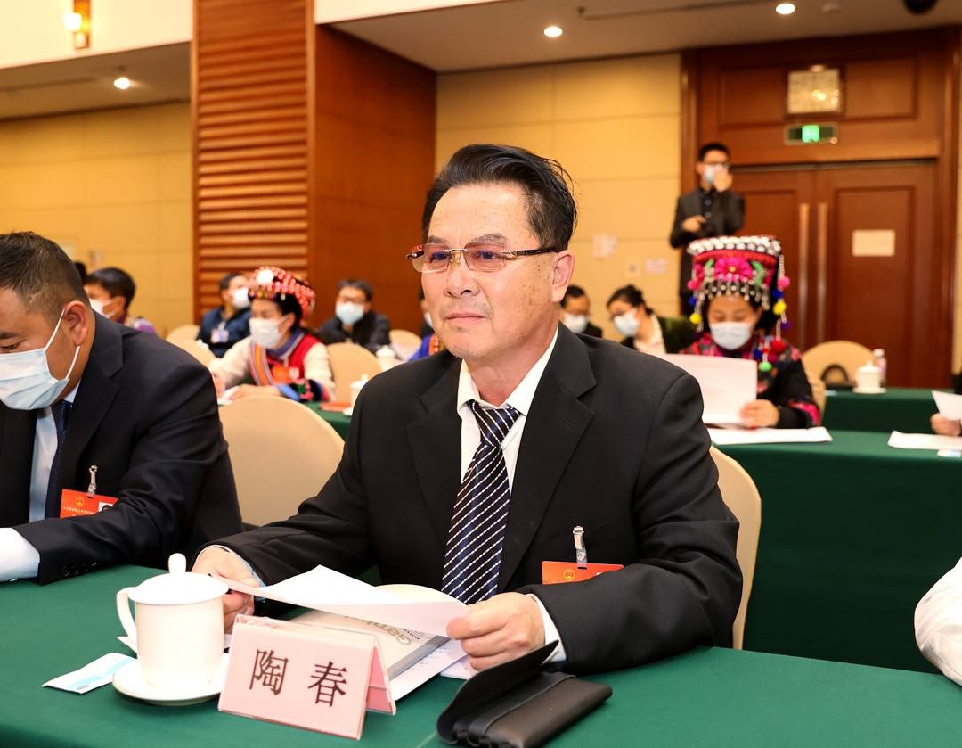 国潮兴·文化行丨全国人大代表陶春:以文艺作品为载体 扩大云南民族