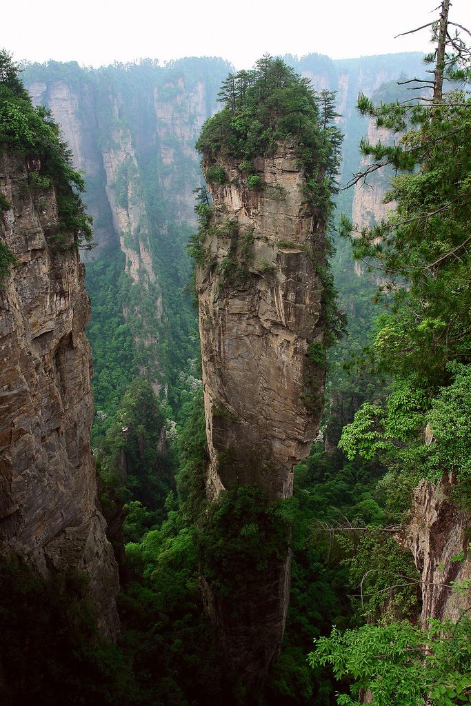 张家界最著名的山图片