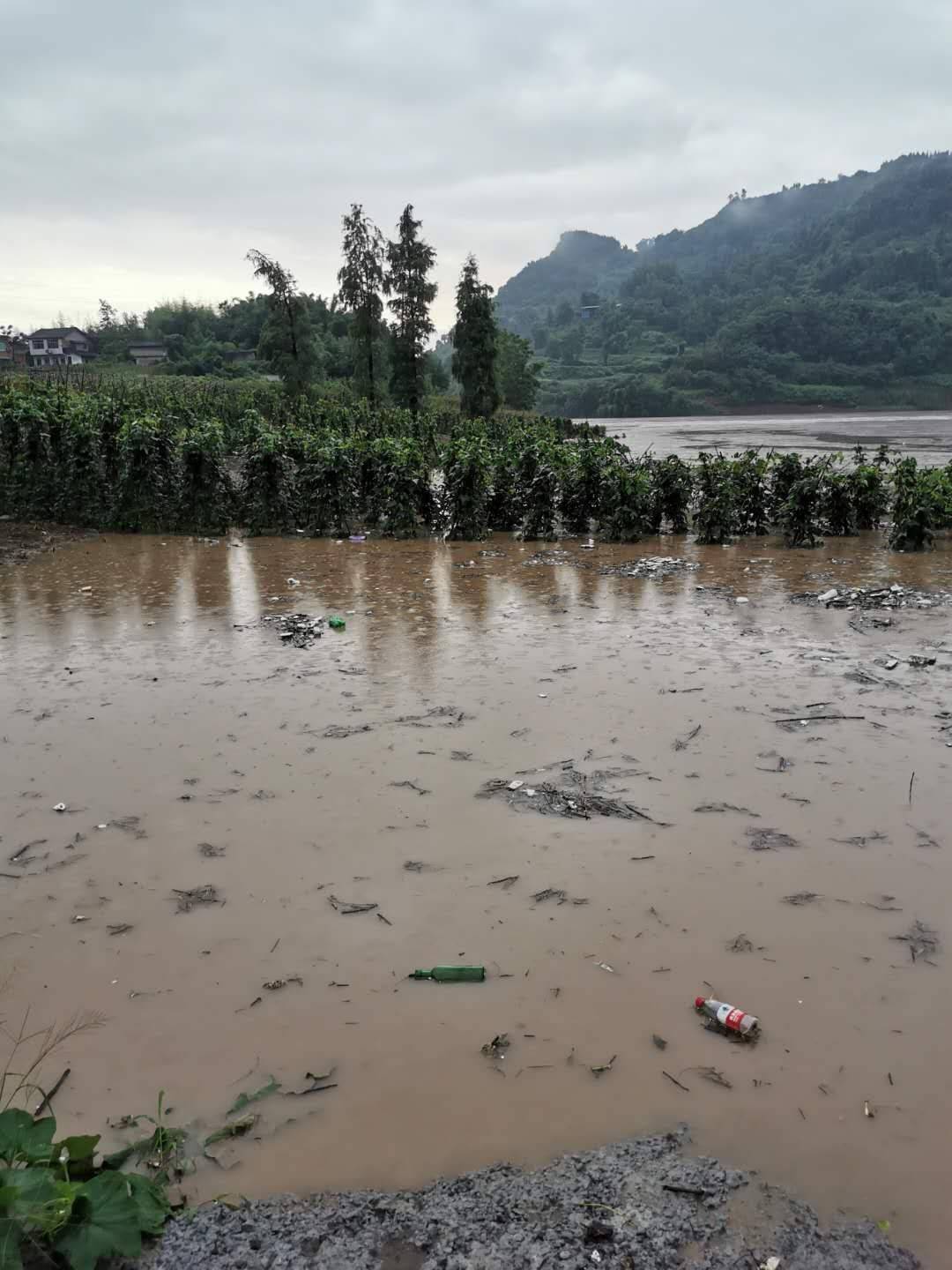 四川达州东部南部暴雨持续 州河上游下调泄洪流量缓下游压力