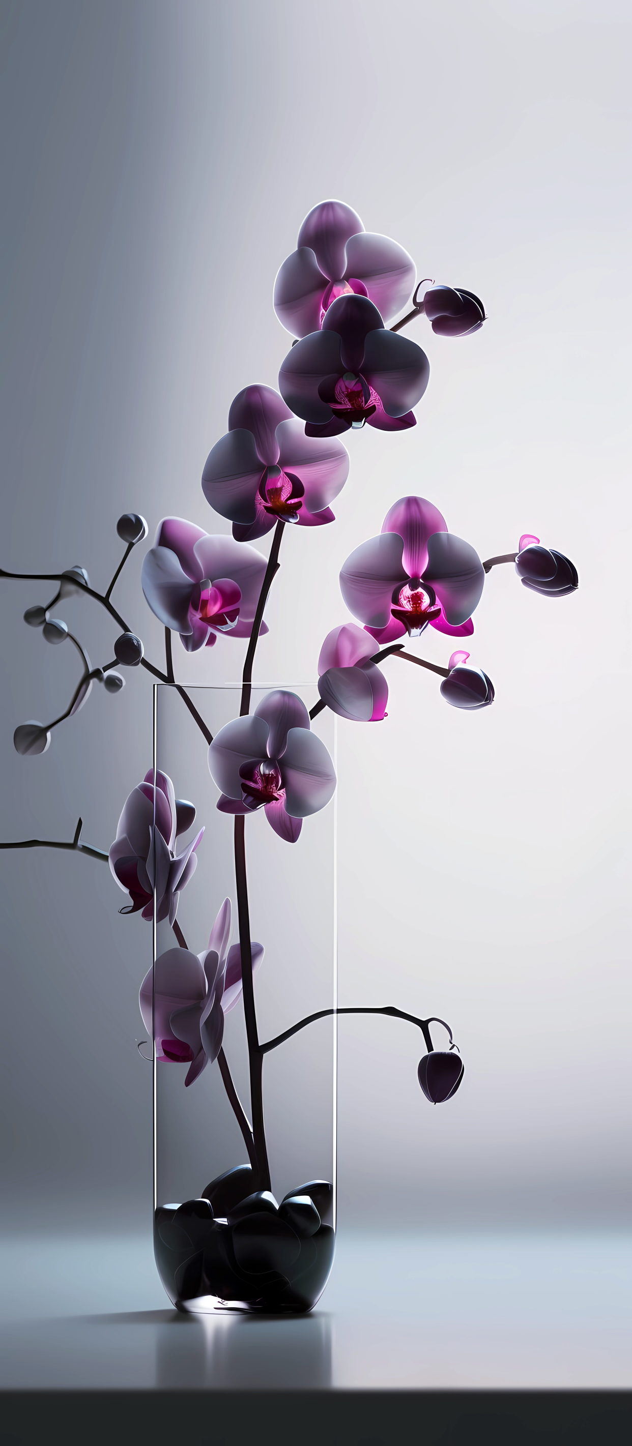 蝴蝶兰壁纸,摇曳枝头蝴蝶兰,千姿百态雅容含