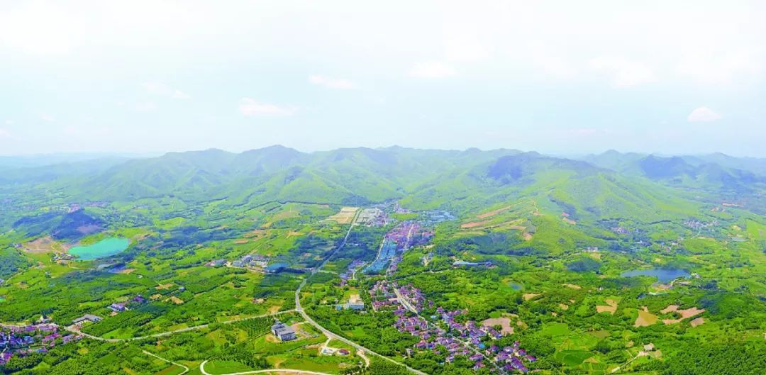 戴埠镇:勠力争先勇担当 砥砺奋进迈新程