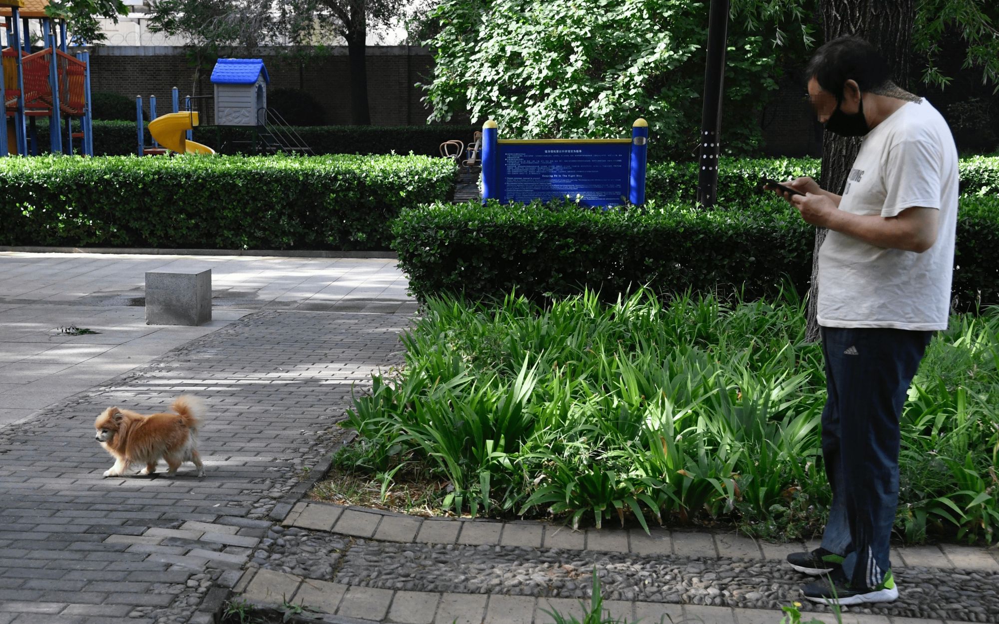 北京多小区神器上岗 专治遛狗不拴绳|文明条例来了①