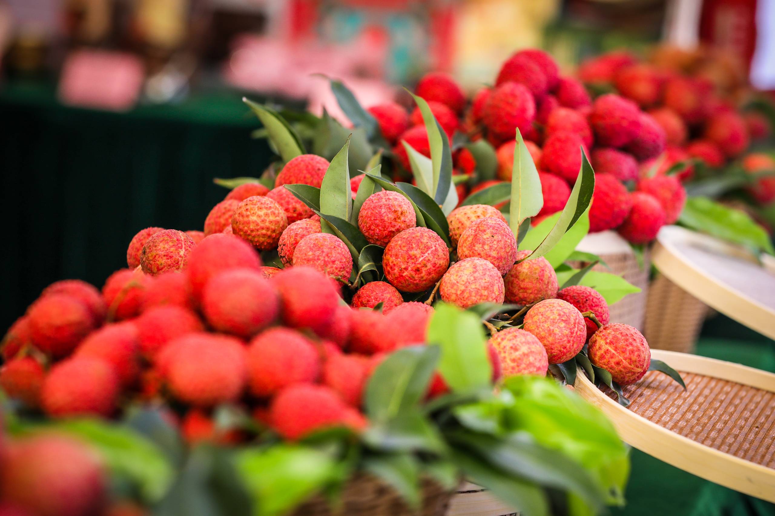 北园绿388元/斤!广州优质品种荔枝进入上市季