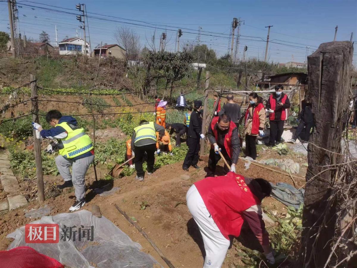 剷除鐵路兩側違規菜地近900平方米,武漢武東街道路長在行動