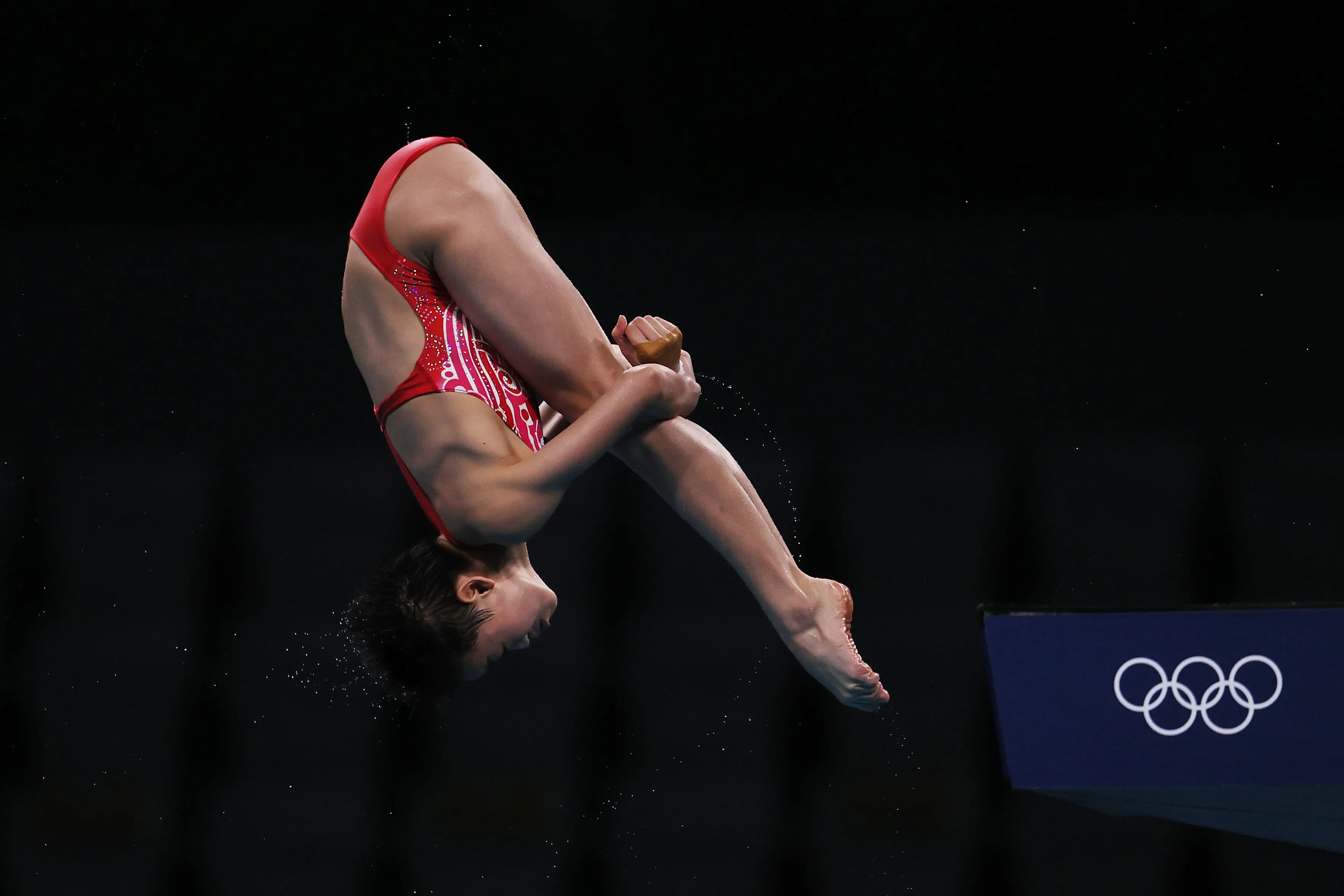 全红婵跳水运动员图片