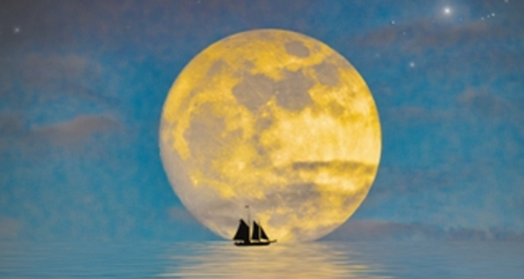 有关月亮思乡的诗句