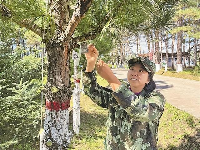 匠心築夢北疆 強國復興有我——內蒙古自治區第六屆