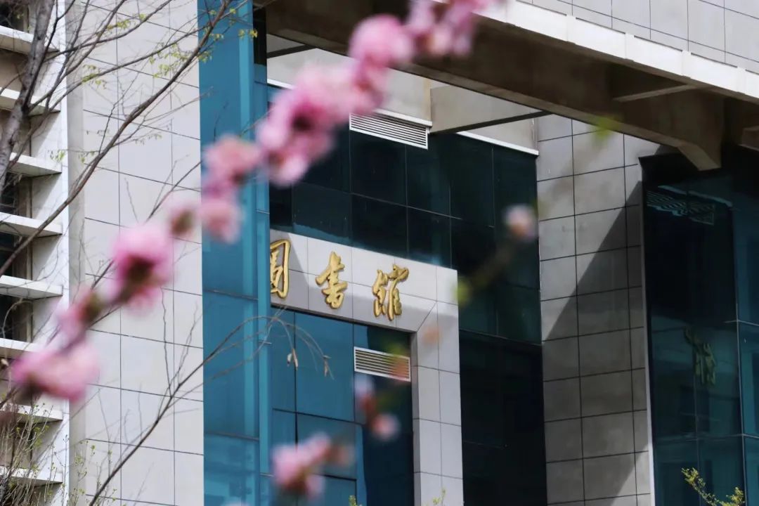 山东青年政治学院2024年公开招聘工作人员简章(博士)