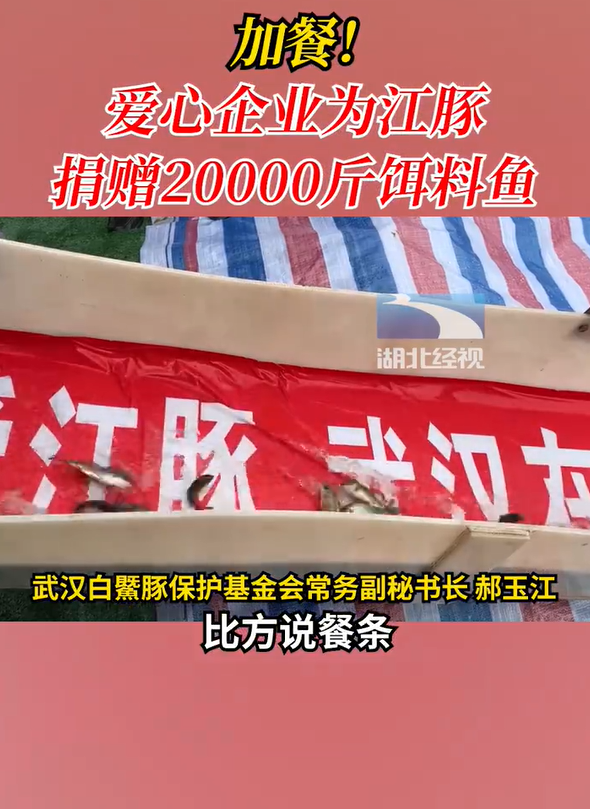 加餐!爱心企业为长江江豚捐赠20000斤饵料鱼