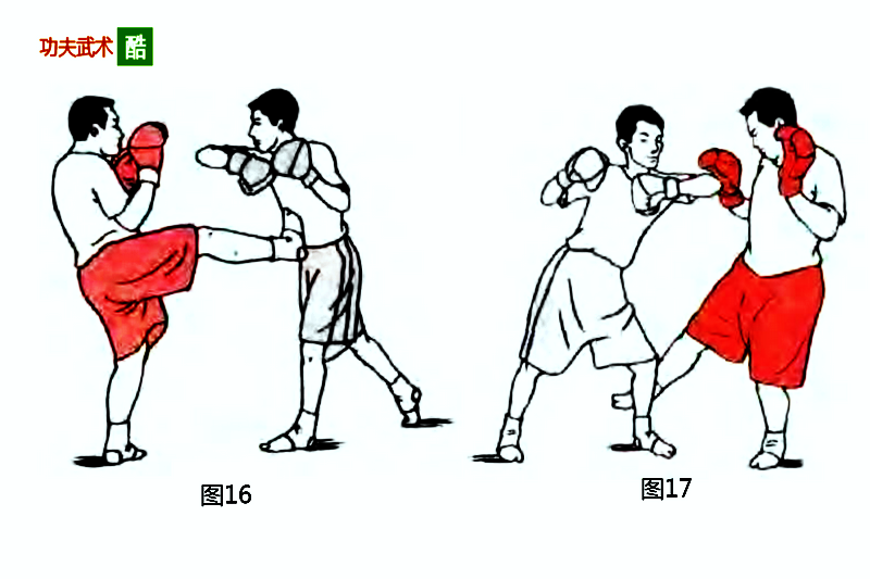 格斗防守反击视频教学(格斗防守反击视频教学全集)