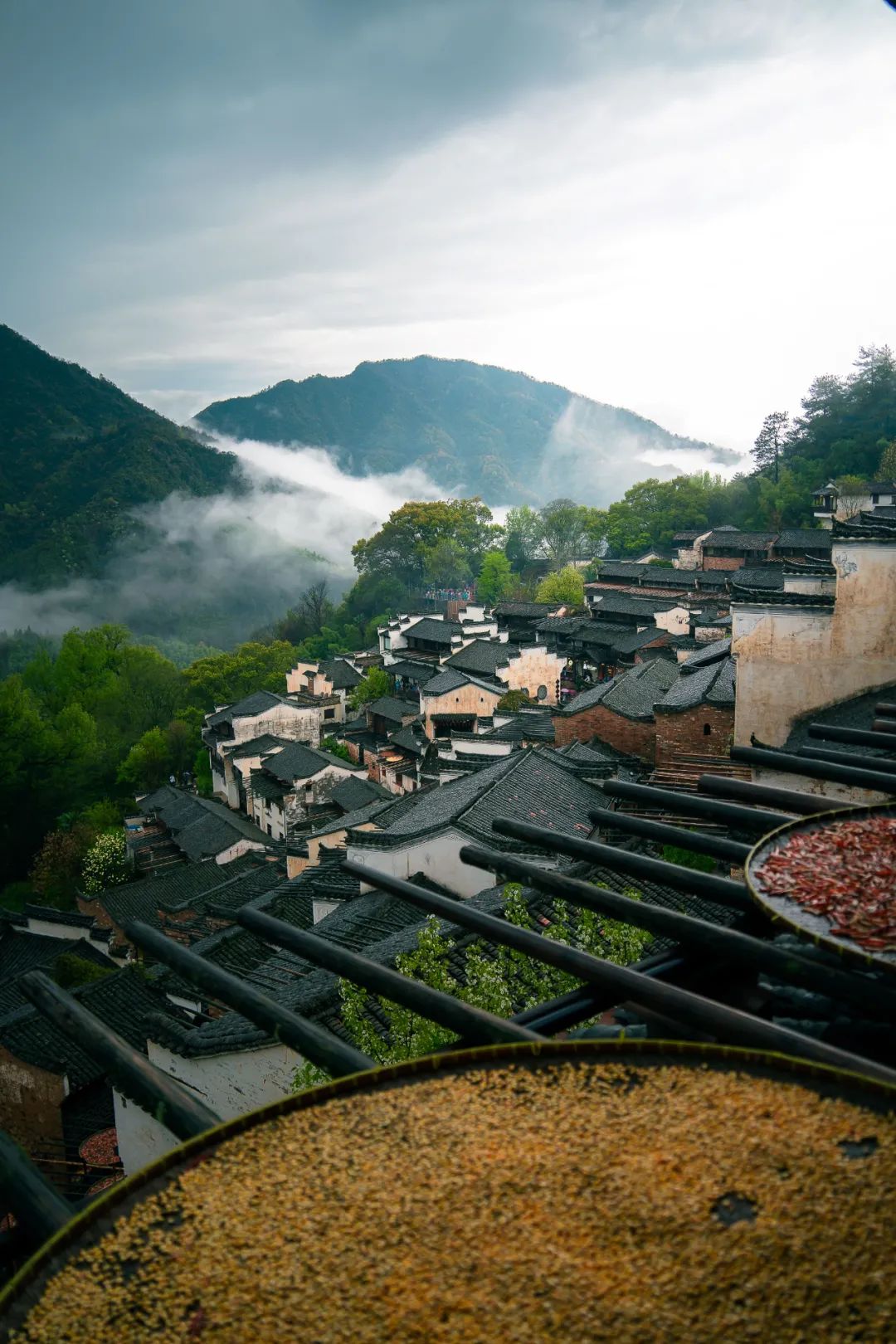 这个夏天来婺源这样玩