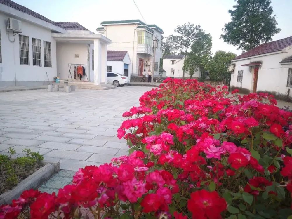 黄池镇:产业抱团 走出西河致富路