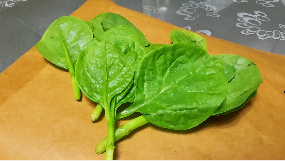 紫角叶,你吃对了吗?丨点"食"成"精"