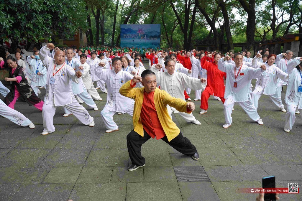 傅清泉导师太极全球行活动在郴州举行