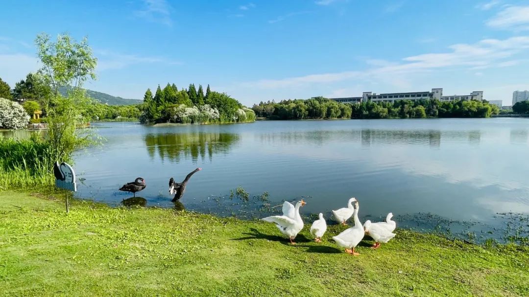 江南大学开放通知!