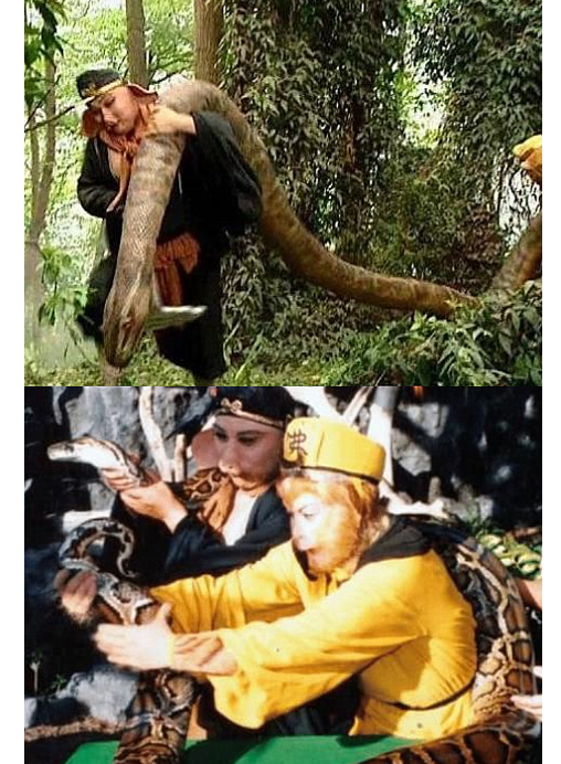 谁还记得86版《西游记》中的大蟒蛇?它不是道具,实际上是真的