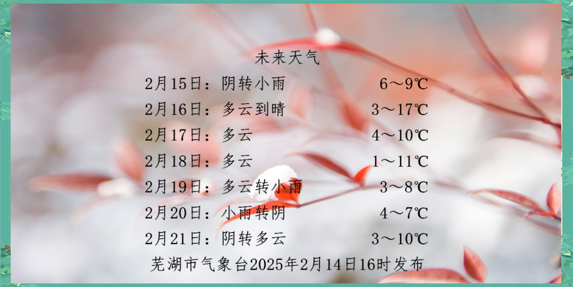 芜湖未来15天天气今日情况