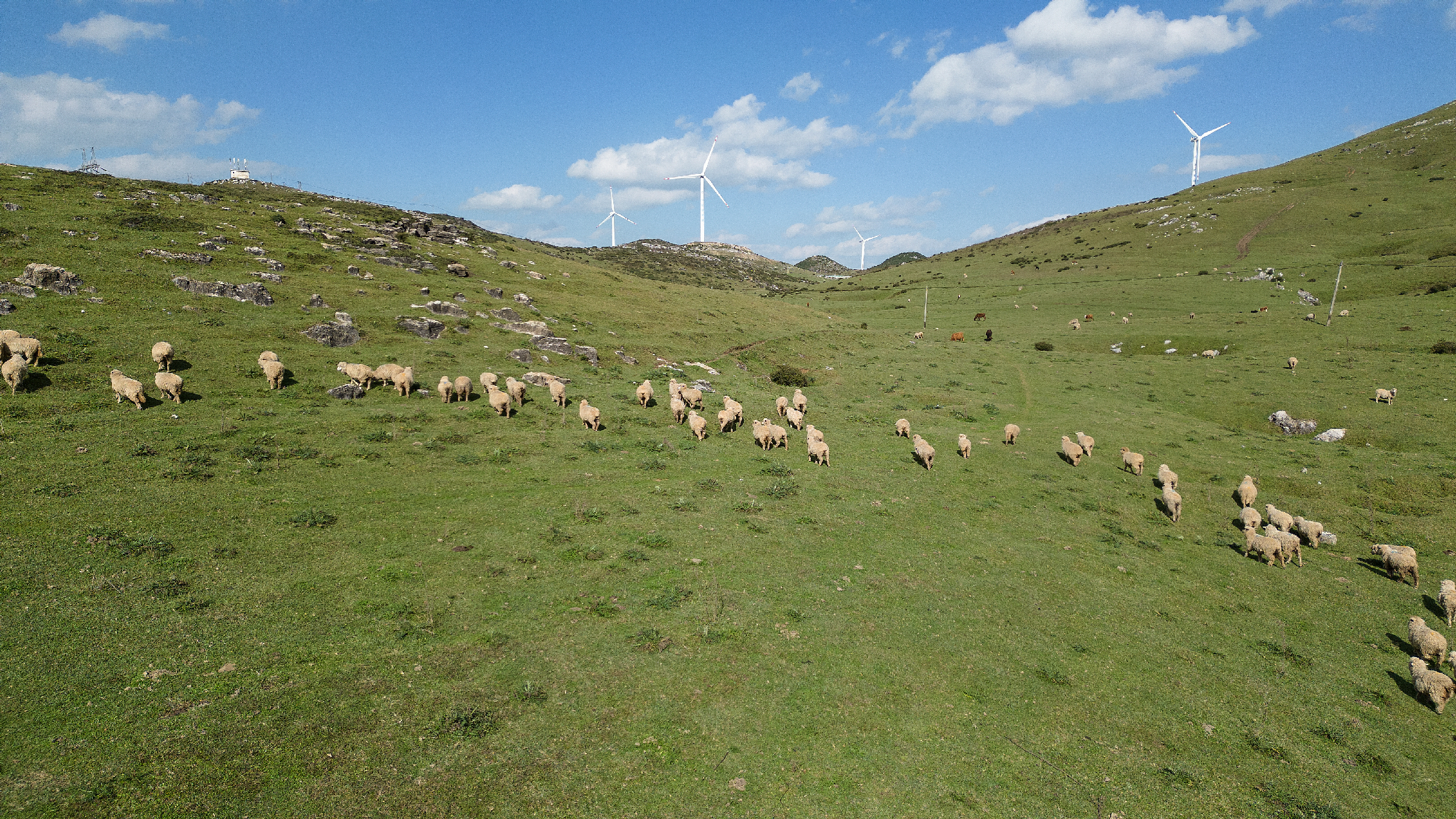 来毕节玩耍,不要错过威宁百草坪——中国南方最大的天然草原