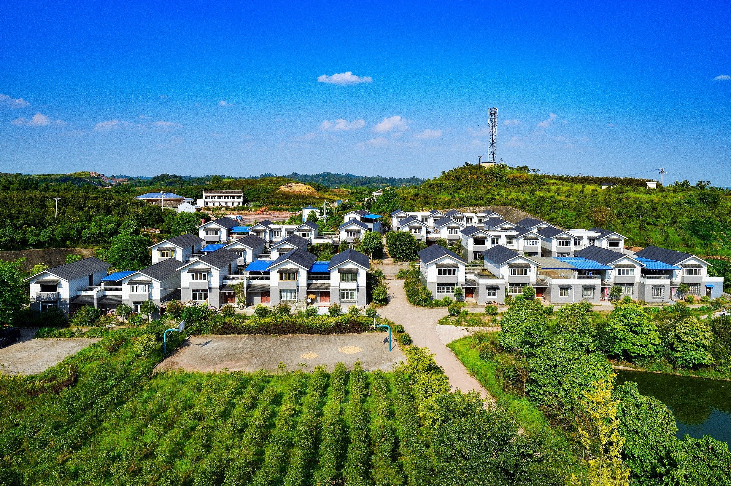 喜获殊荣!大安区何市镇雨山村被正式命名为省级"民主法治示范村"