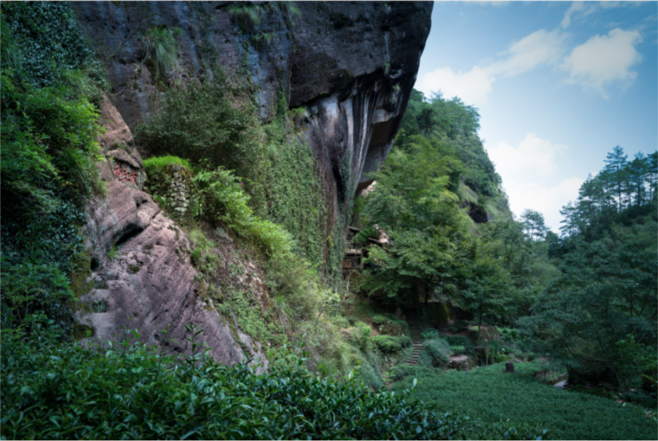 武夷山历史背景50图片