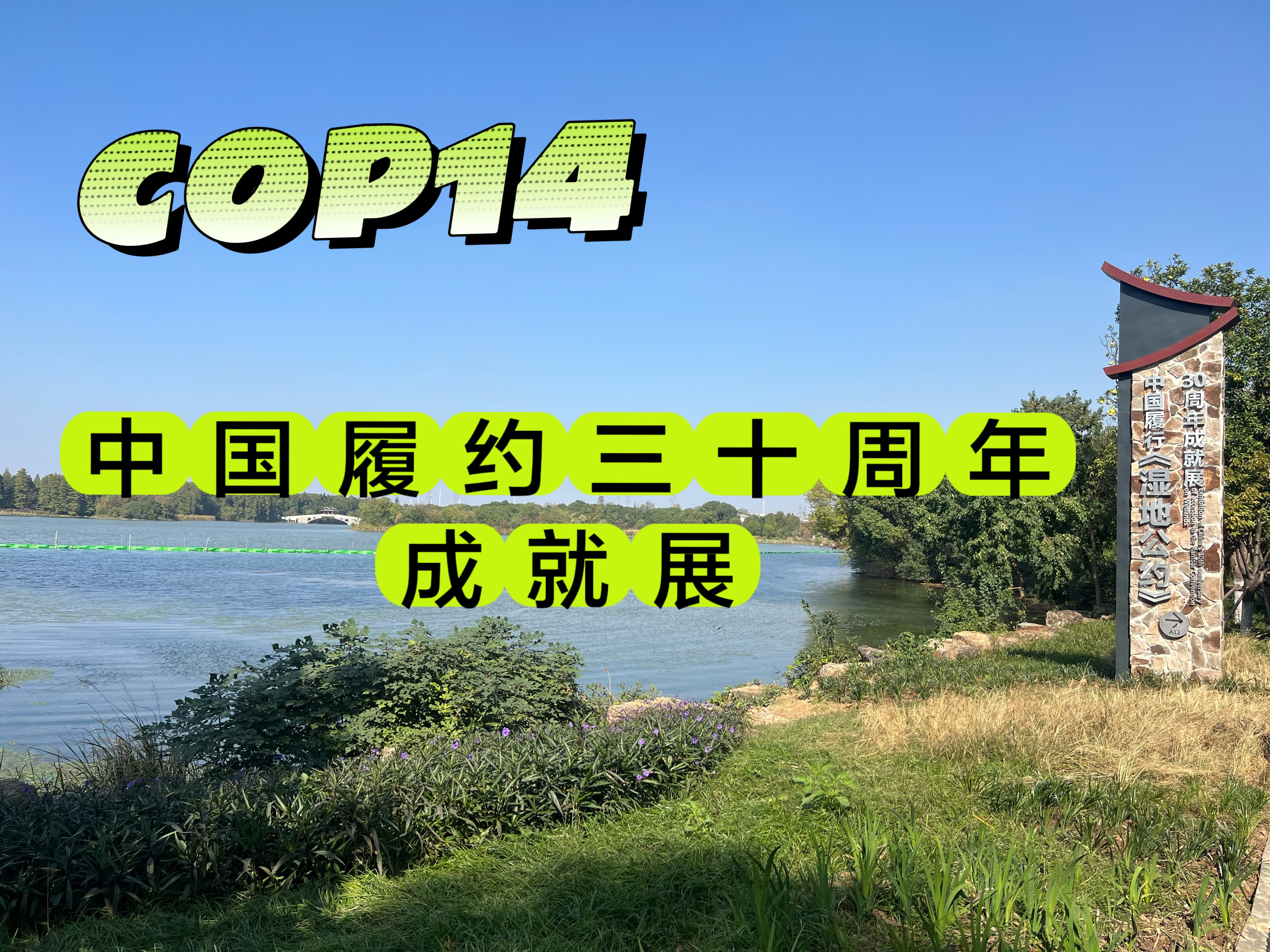 vlog|中国履约30周年之际 我在cop14探寻湿地保护的奥秘