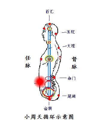 真气运行法 坐姿图片