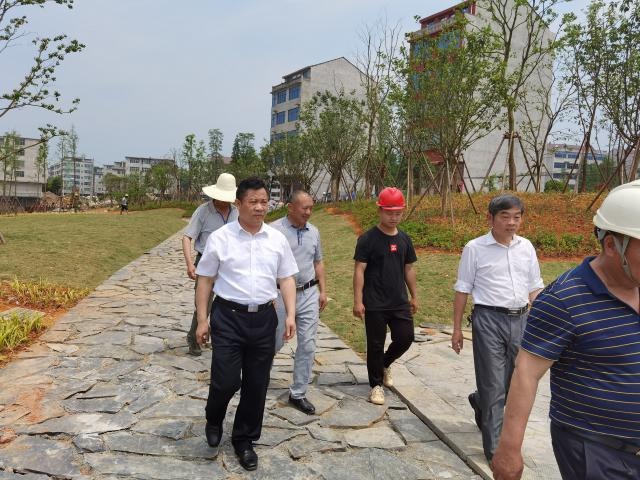 彭金平调研高安市水系连通及农村水系综合整治试点县项目建设