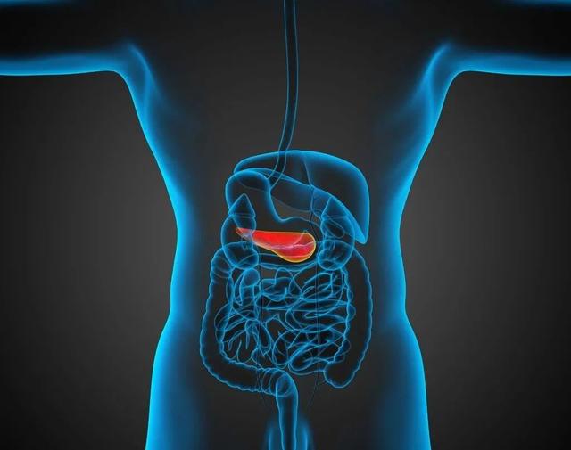 胆囊的大小对我们有什么影响?应如何预防呢?