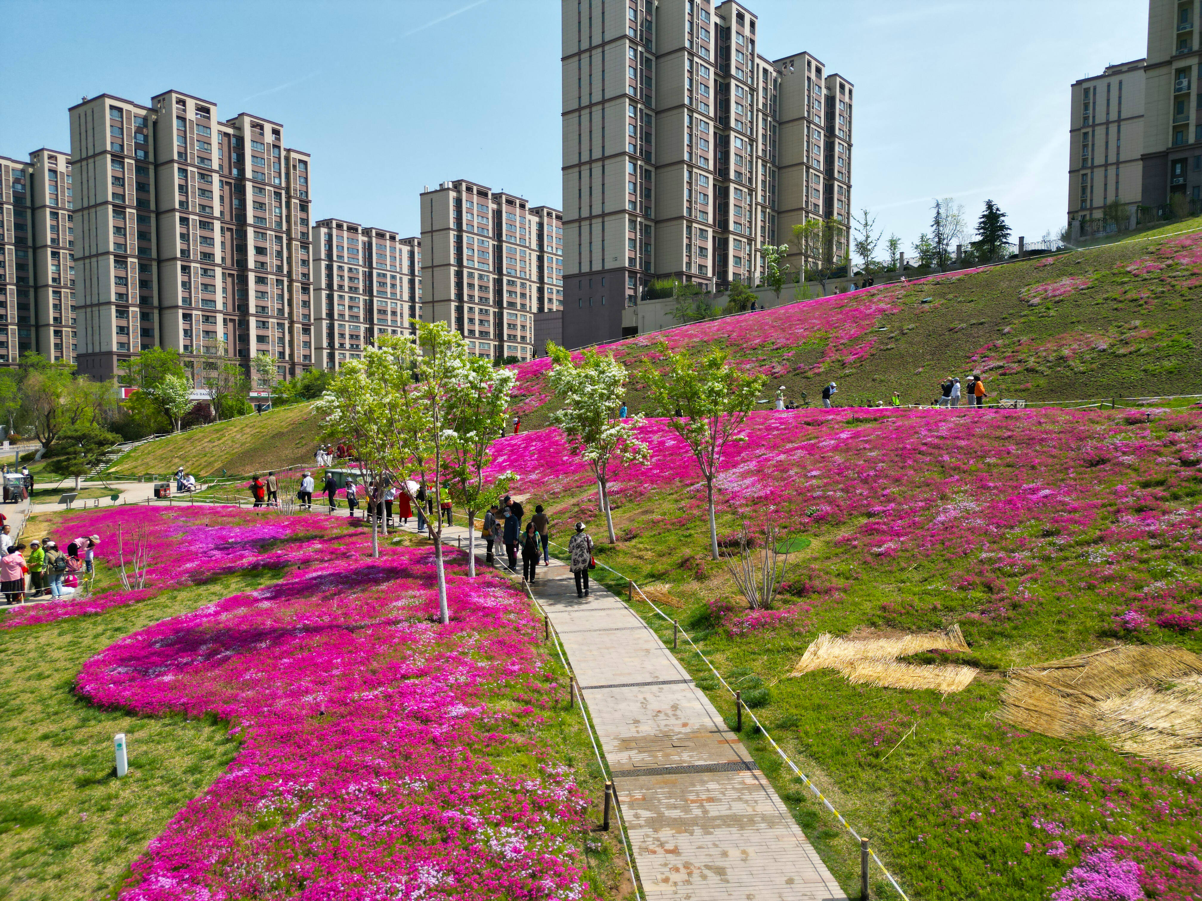 龙洞花海地址图片