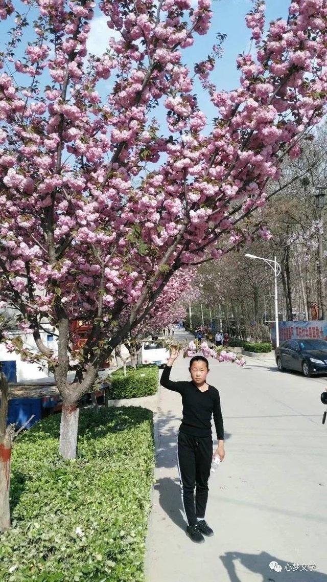李固国|游神仙洞