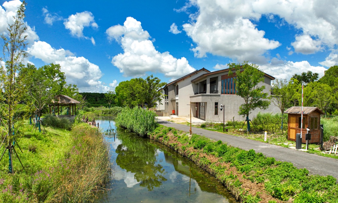 良辰好景归处,庄行郊野公园丨奉贤风物