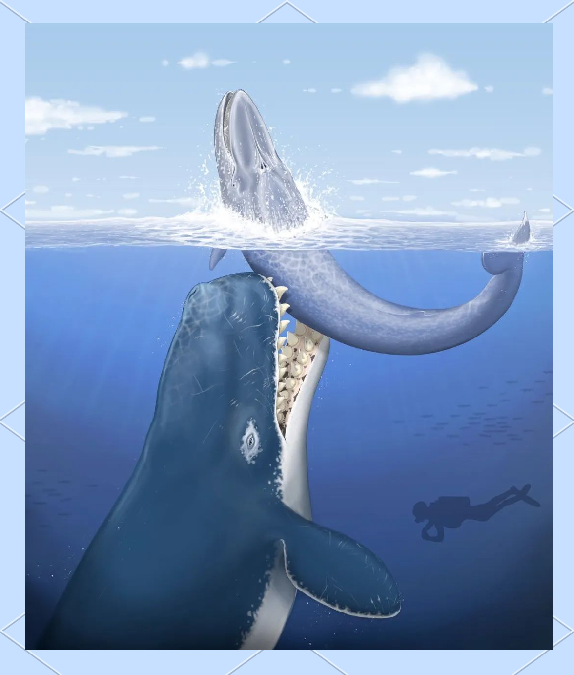 利维坦鲸:中新世海洋的顶级掠食者