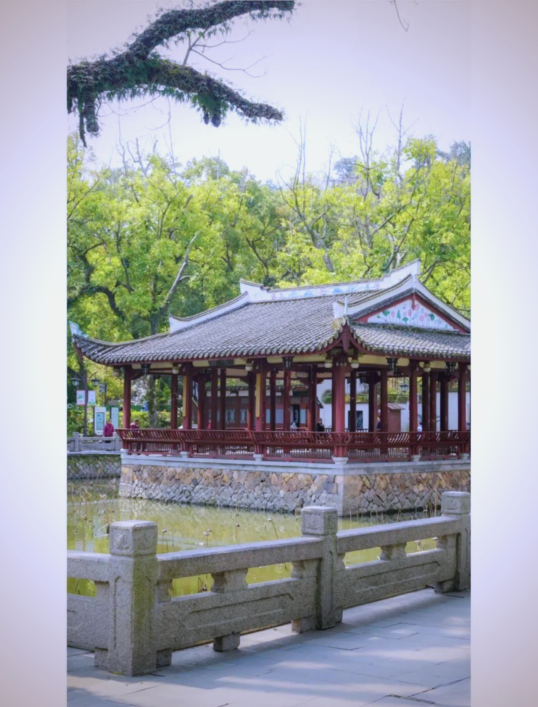 福州西湖公园:古典园林与现代旅游的奇妙结合
