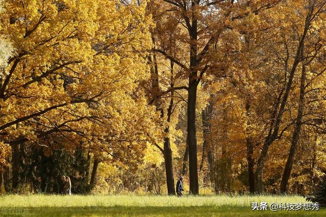 「组图」俄罗斯"颜值"巅峰竟然在秋天 绝美秋景不容错过