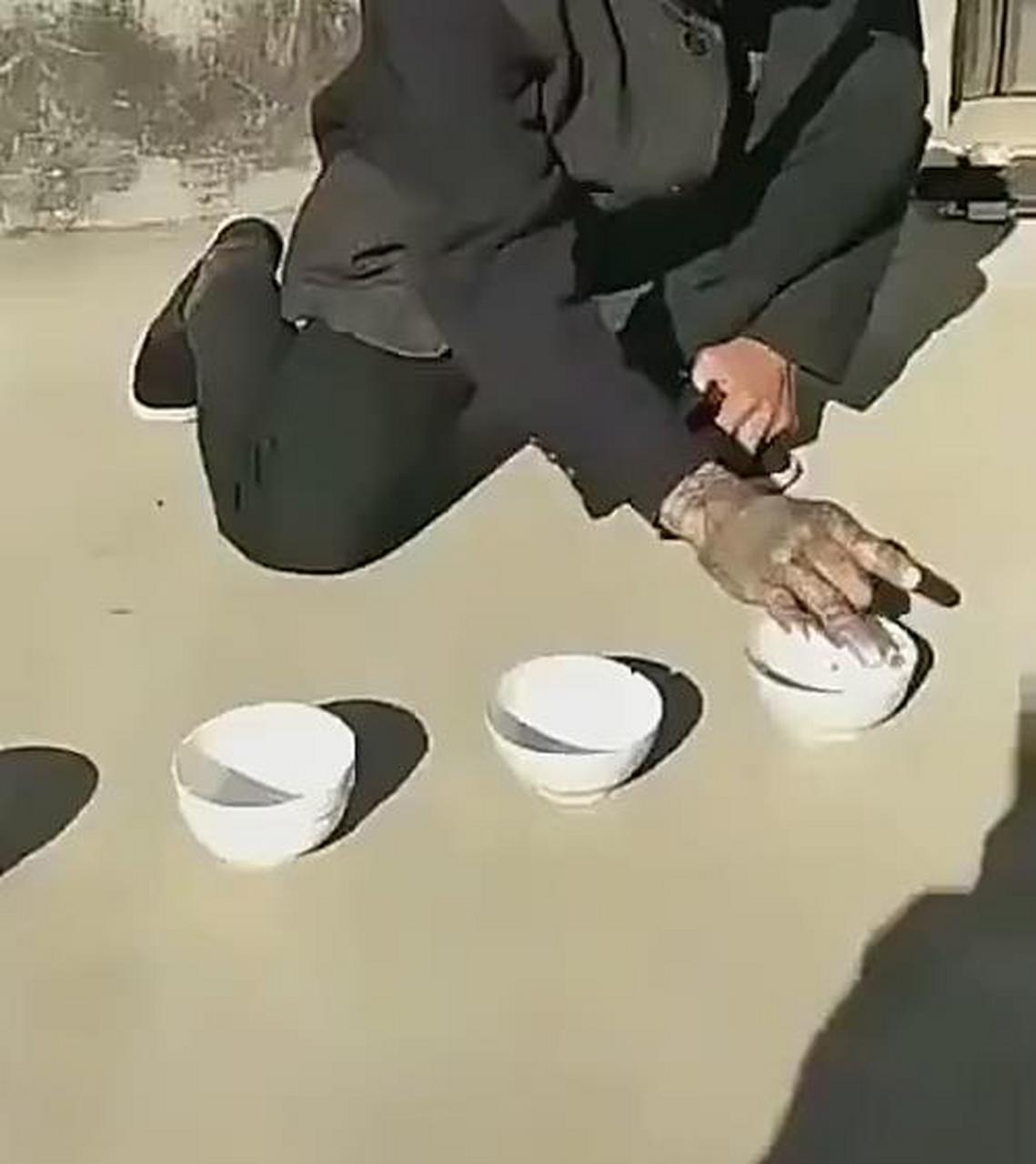 这要是弹脑门上,那脑瓜子不得嗡嗡的[捂脸]