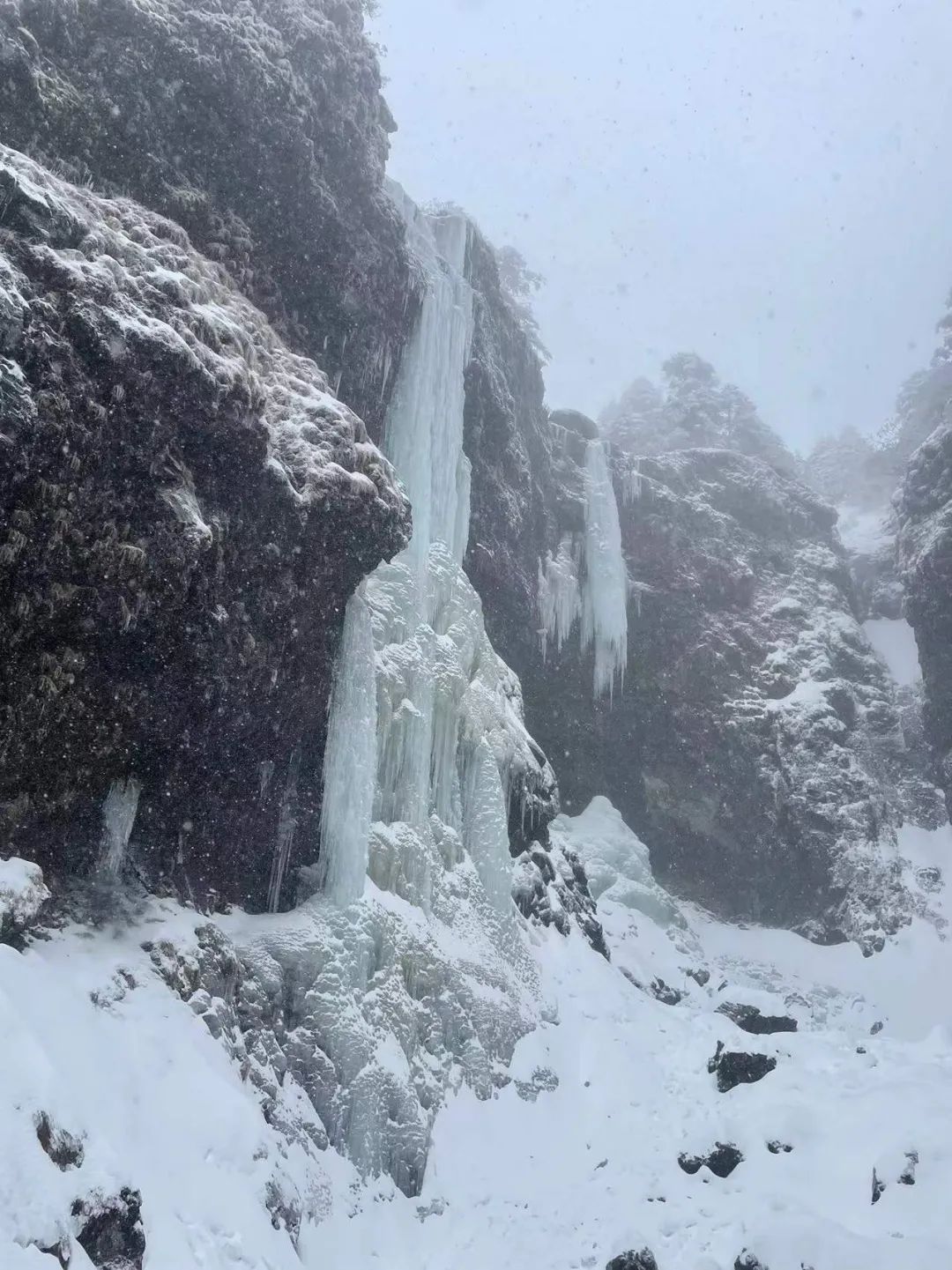 昆明这里下雪啦周末约看雪吗?