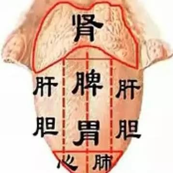 《舌诊彩色图谱》高清展示,多种舌象解析健康秘籍!