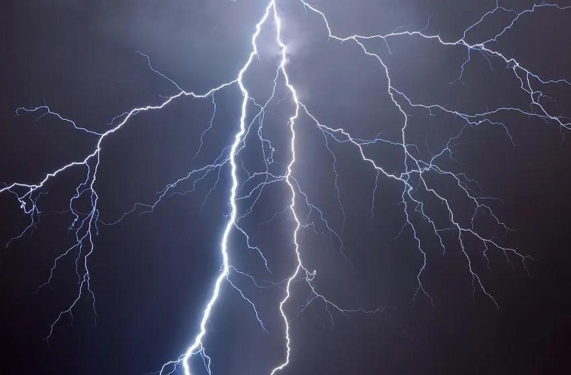 天刚蒙蒙亮,轰隆隆的雷声把我从睡梦中吵醒.