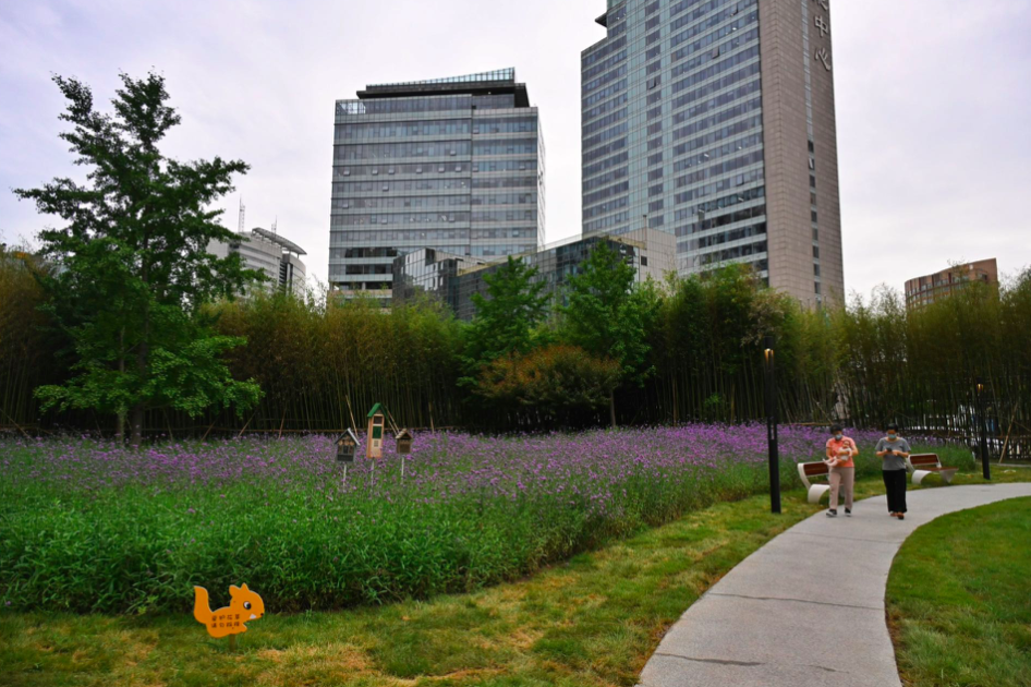 封閉綠地改建阜園,望京小街和新世界百貨連通了