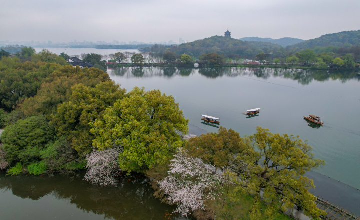 烟雨西湖 水墨江南 春分时节的杭州美不胜收