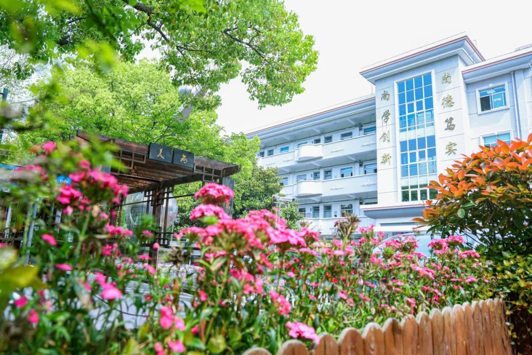 印象同济黄渡小学:刻画世间万物,摹写文化之魂