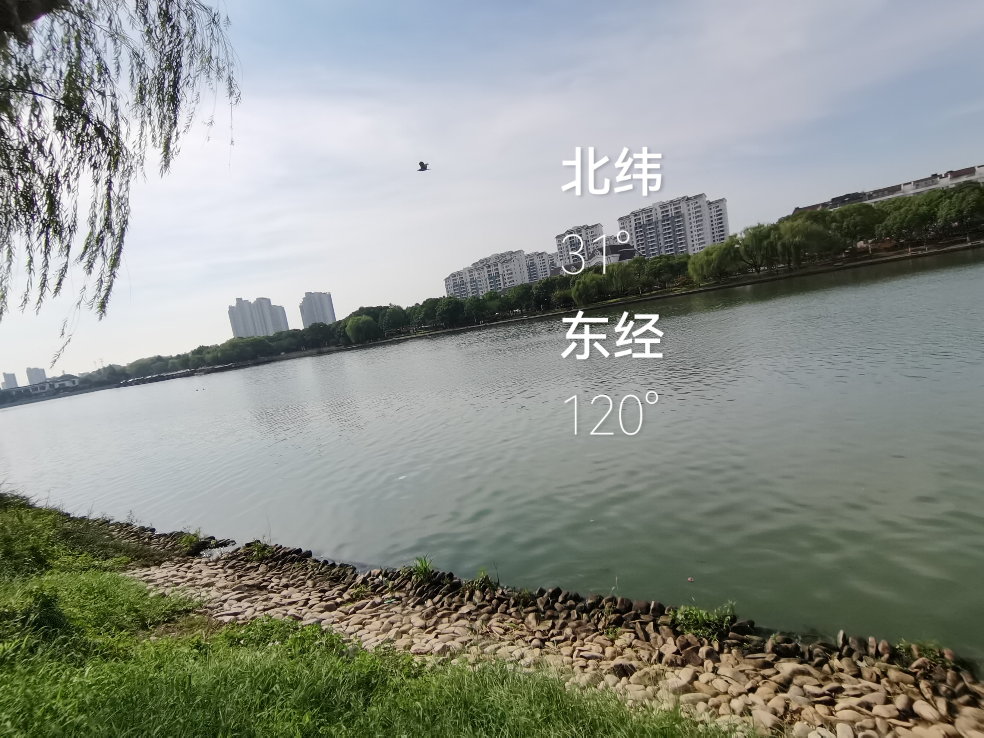 蘇州桂花公園之景色