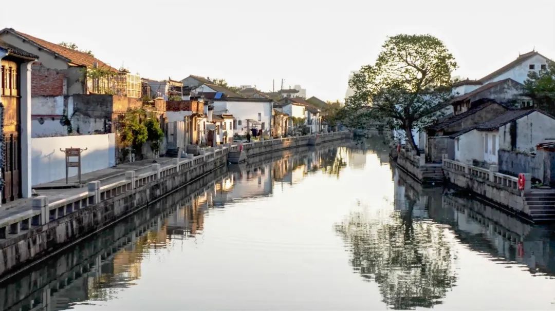 雲賞河湖 | 品味松江水韻——松江市河