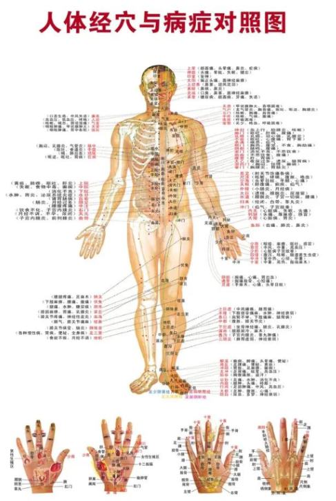 中医分享11个常见症状的对症穴位,不知道的赶紧收藏,或会用得上