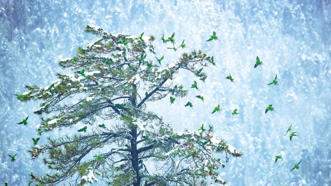 乌当区云雾山介绍图片